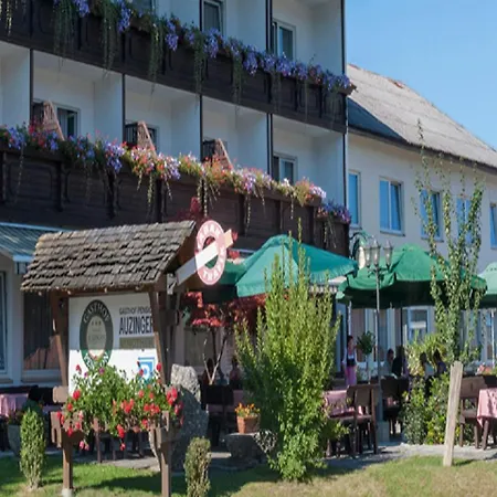 Hotel Gasthof Auzinger